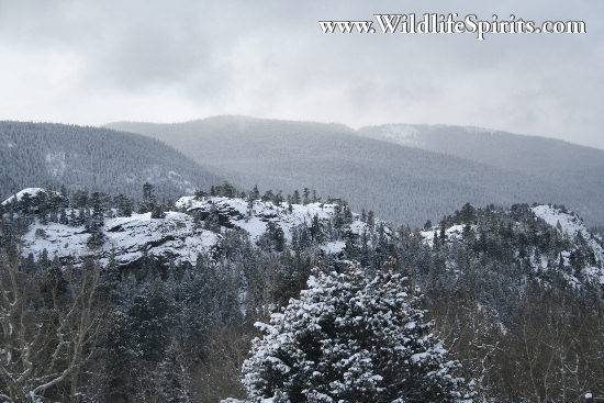 Click Picture to send as an  E-PostCard 56k 550x367